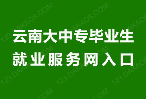 云南大中专毕业生就业服务网